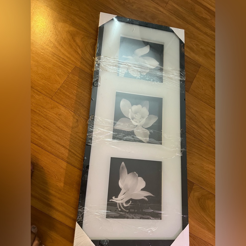 Picture Frame Brandnew